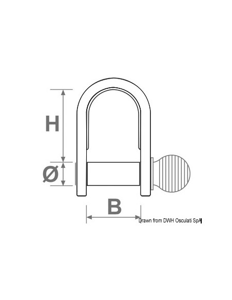 Grillo in lastra stampata Grillo in lastra stampata