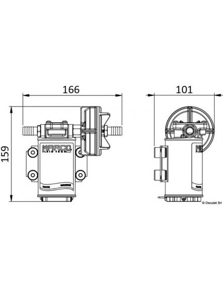 Elettropompa autoadescante con ingranaggi in bronzo per travaso gasolio, antigelo, acqua