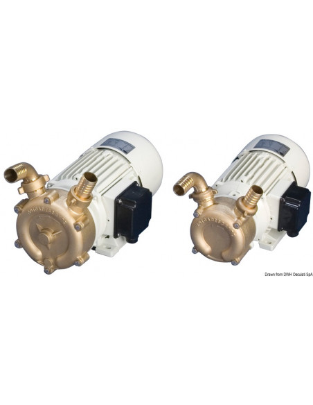 Pompa di sentina autoaspirante in bronzo professionale