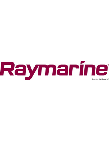 Strumenti i50 / i60 RAYMARINE