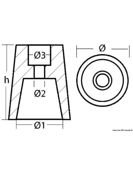 Anodo linee d’asse Radice Anodo linee d’asse Radice