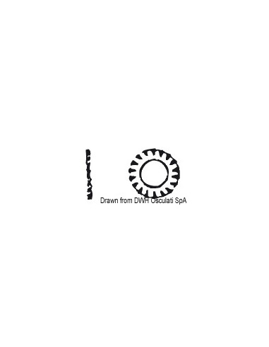Rondelle dentellate DIN 6798