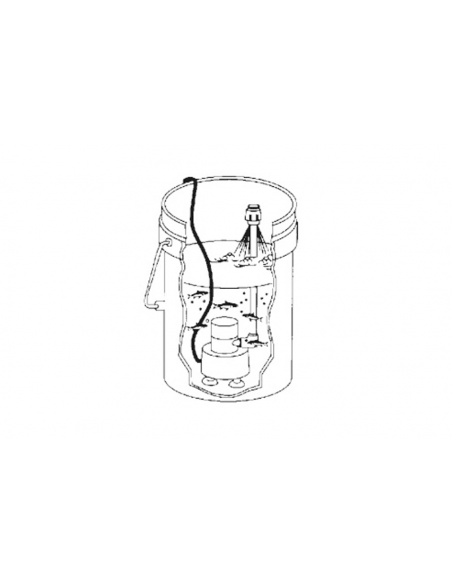 POMPA AREATRICE 12 V.
