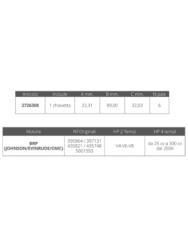 GIRANTE JOHNSON/EV. 2T V4-V6