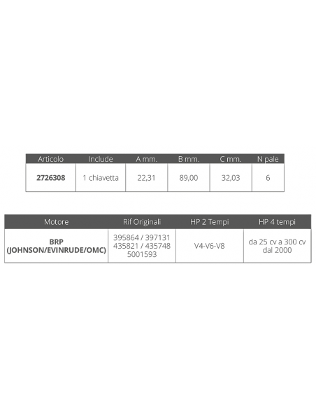 GIRANTE JOHNSON/EV. 2T V4-V6