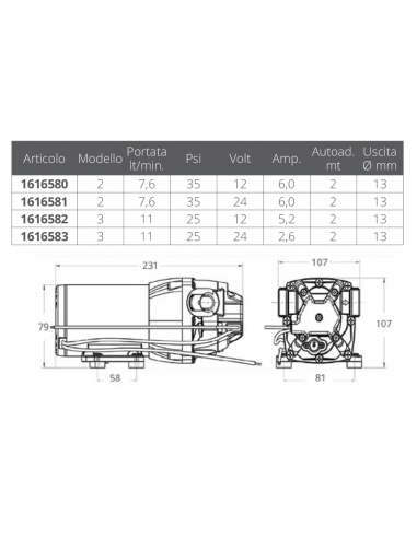 POMPA AUTOCLAVE PARMAX