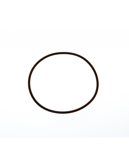 GUARNIZIONE O-RING
