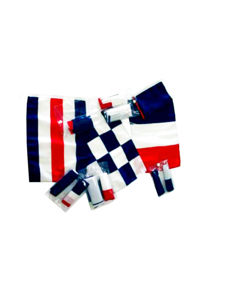 BANDIERE FRANCIA REGOLAMENENTARE