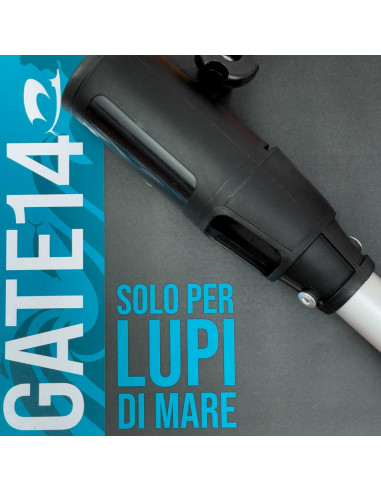 Prolunga barra guida per motori...