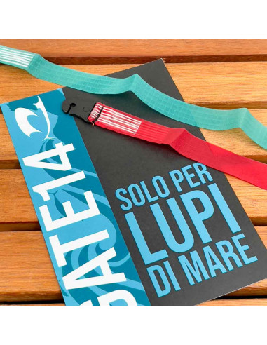 Nastri segnavento