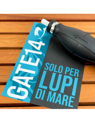 Pompetta aspirazione carburante e...