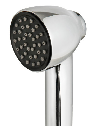 Box Elissa inox con Doccia e tubo...