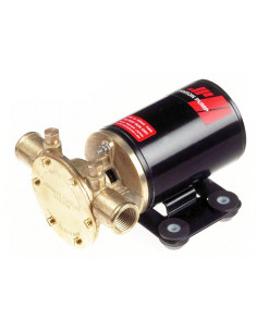 Pompe Autoadescanti Johnson