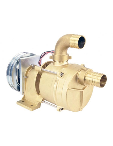 Pompa a Puleggia con Frizione Magnetica Serie IFE