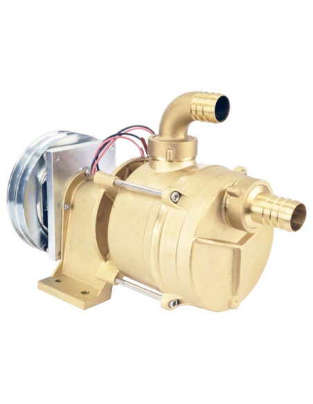 Pompa a Puleggia con Frizione Magnetica Serie IFE