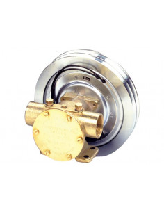 Pompa con Frizione Magnetica Johnson F7B-5001-1"