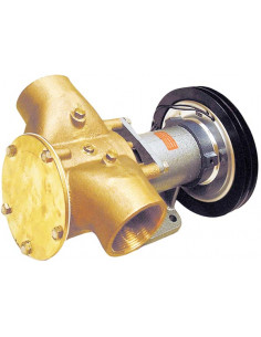 Pompa con Frizione Magnetica Johnson F9B-5600-2"