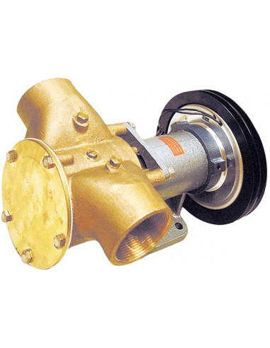 Pompa con Frizione Magnetica Johnson F9B-5600-2"
