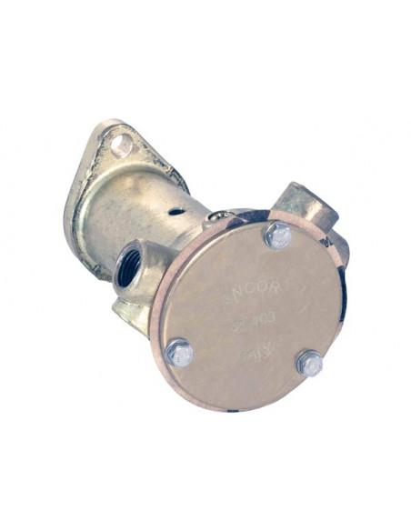 Pompa Flangiata Ancor St 103