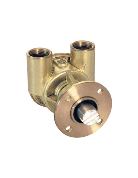 Pompa Flangiata Ancor St 147