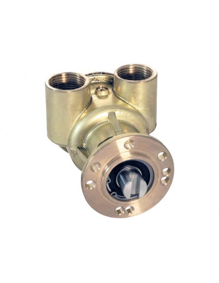 Pompa Flangiata Ancor St 146