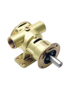 Pompa Ancor Pm 36