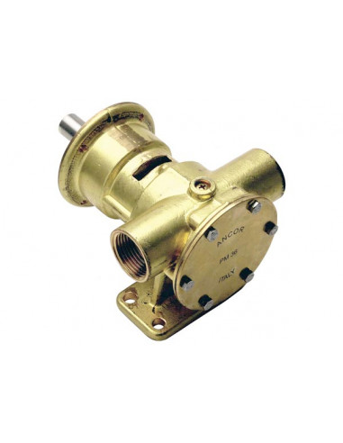 Pompa Ancor Pm 36