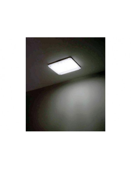 Luce di Utilita' Action