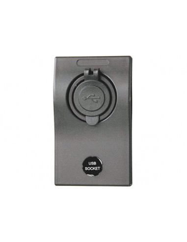 Presa USB Startech