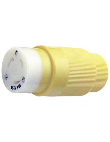 Spine Marinco