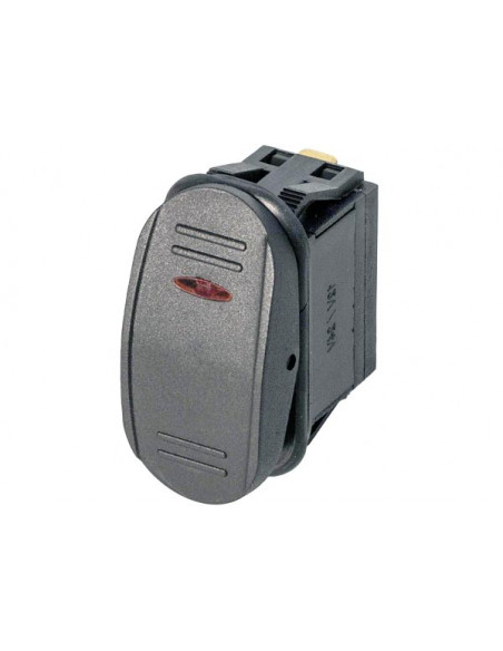 Interruttore AA W/P1