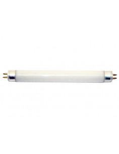 Tubi Neon 220V