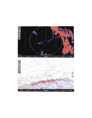 Antenne Radar Garmin Fantom