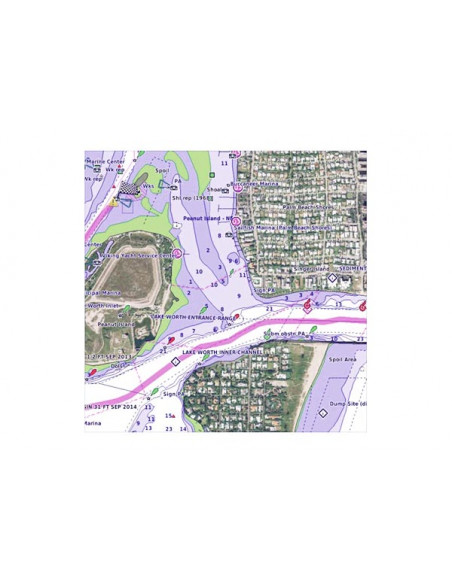 Cartografia Garmin BlueChart G3 Vision Large Area