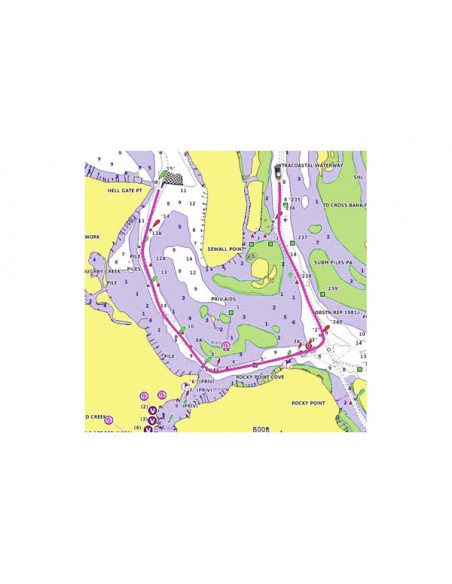 Cartografia Garmin BlueChart G3 Vision Large Area