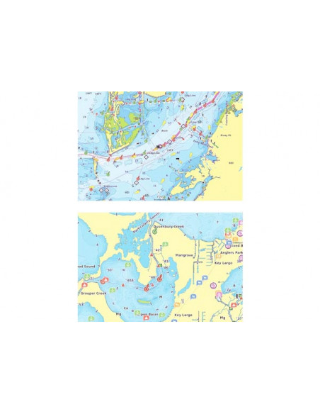 Cartografia Garmin Navionics Vision+