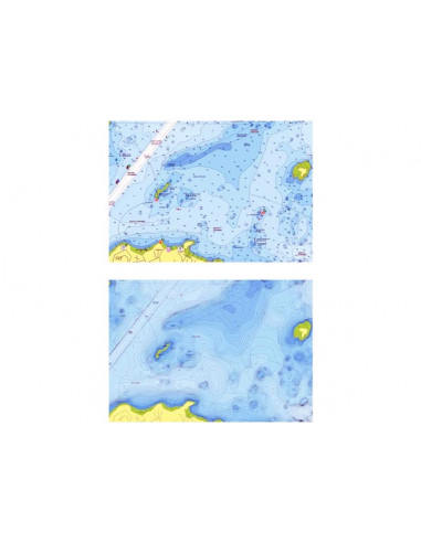 Cartografia Navionics+