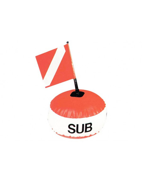 Boa Segnalazione Sub