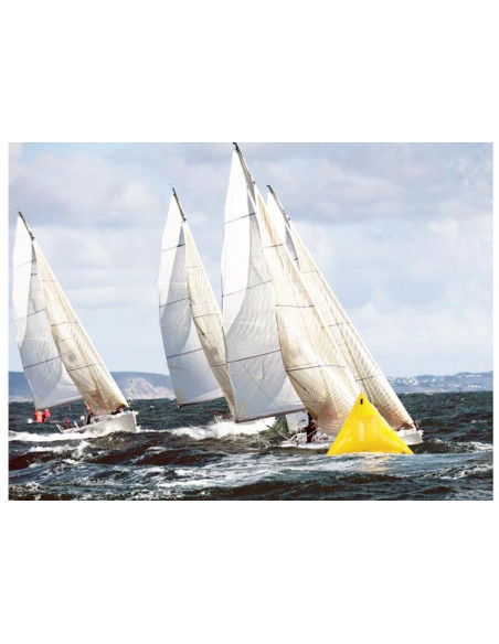 Boa Segnaletica Triangolare Gigante