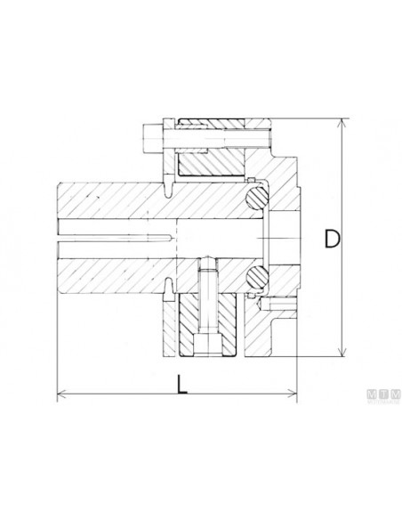 Giunto Elastico Vetus Type 6