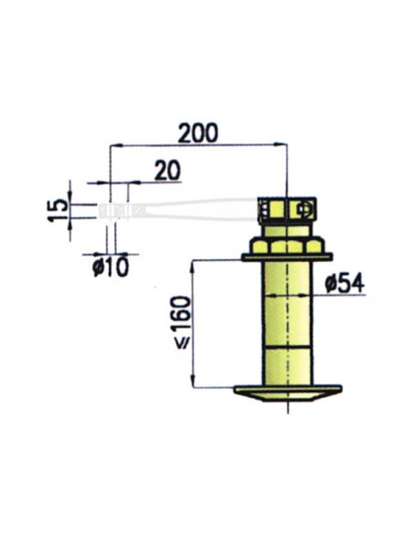 Teste Timone Teste Timone