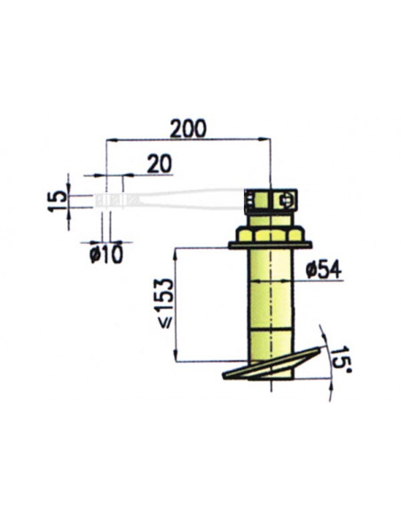 Teste Timone Teste Timone