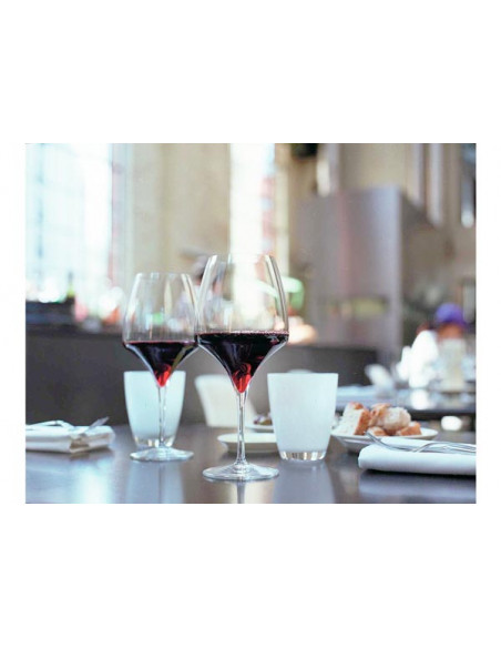 Bicchieri Tiburon Tumbler in Vetro