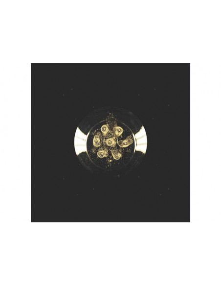 Calice Etoilé Sparkle in Vetro