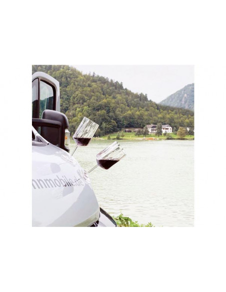 Set 2 Calici Magnetici da Vino