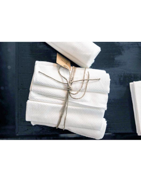 Set Asciugamani Monouso Bio