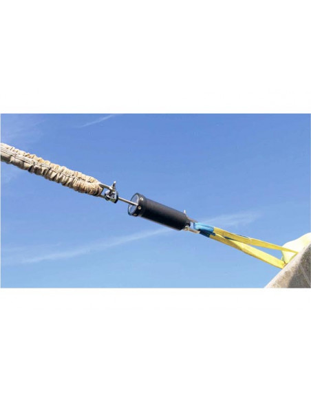 Cinghie da Ormegio Seares