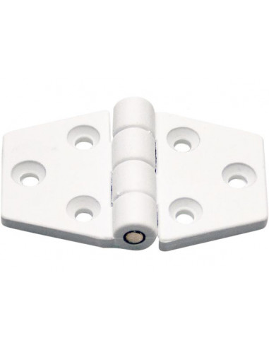 Cerniera a Biscotto 40x63
