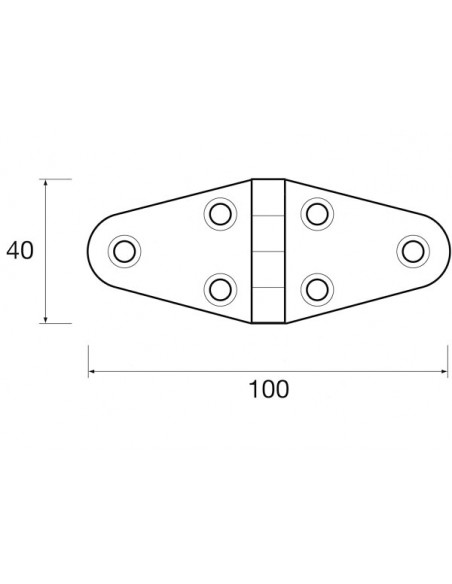 Cerniera Wing 40x100