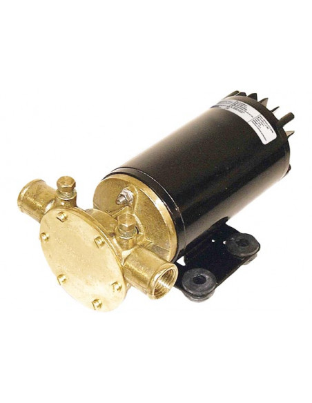 Pompe F38B-19 e F4B-19